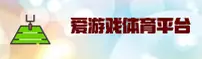 AYX爱游戏(中国)官网
